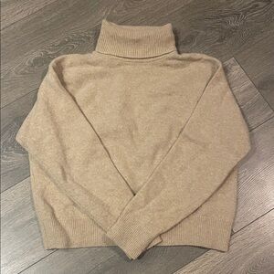 Uniqlo Wool Turtleneck